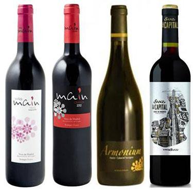 Cata Vinos de Madrid